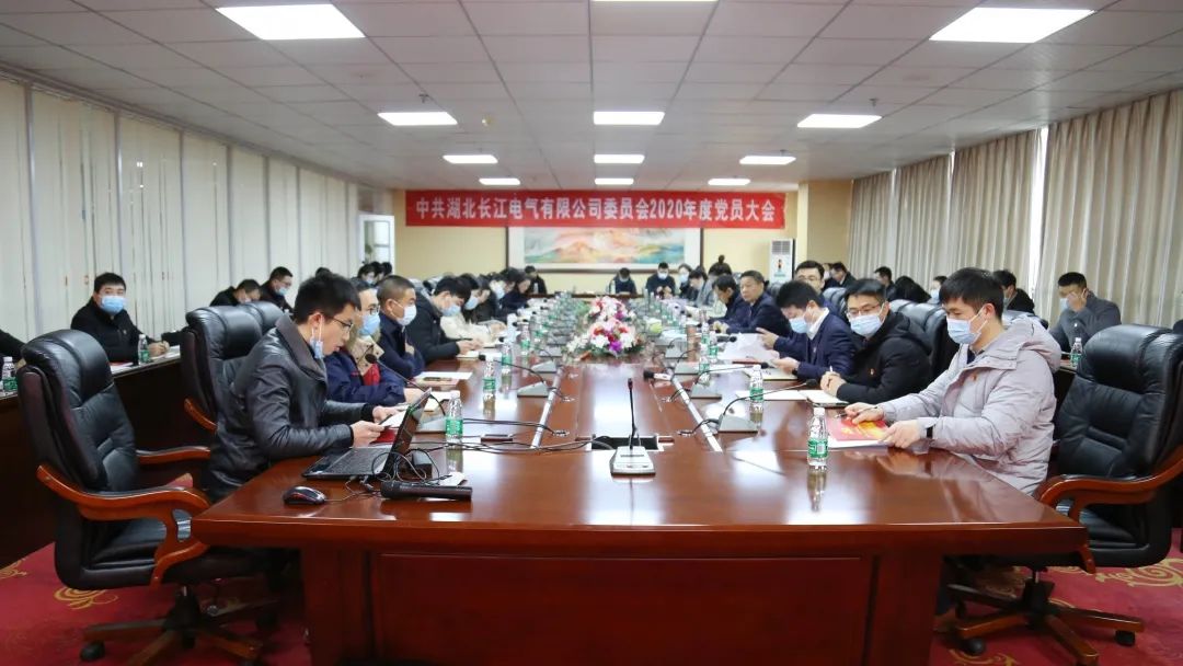 新蓝图鼓舞人心，新征程催人奋进 | 长江电气党委2020年度党员大会圆满召开
