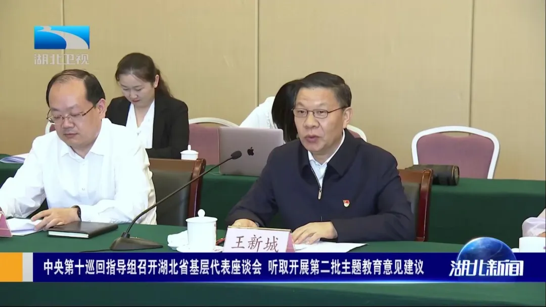 中央第十巡回指导组召开湖北省基层代表座谈会 听取开展第二批主题教育意见建议